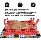 Bugusan Kedi Yatağı Istııcılı