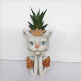 Bulut Taçlı Kedi Saksı