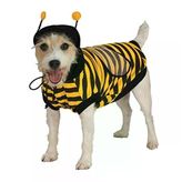 Bumble Bee Evcil Hayvan Kostümü, Large