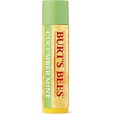 Burt's Bees Cucumber Mint 4.25 g Dudak Balmı