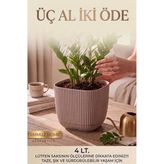 Büyük Boy Modern Sukulent Kaktüs ve Çiçek Saksısı Kare 4lt