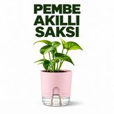ByKurt Akıllı Saksı Kendinden Sulamalı Fitilli Modern Dekoratif Saksı 2 Litre