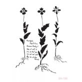 Cadence BN156 Bn Serisisi 25x35 cm Stencil