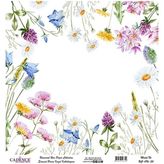 Cadence UC096 Evrensel Pirinç Dekopaj