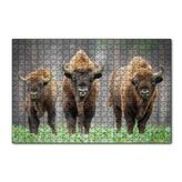 Cakapuzzle Bieszczady Bizonu Görseli 120 Parça Ahşap Puzzle