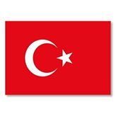 Cakatablo Türk Bayrağı Mdf Ahşap Tablo