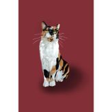 Calico Marmite Notebook: 200 page A5 Notebook