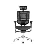 Calitte Apex Premium Ergonomik Ofis & Çalışma Koltuğu
