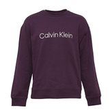 Calvin Klein 40HM230-501 Shadow Purple Mor Erkek Sweatshirt
