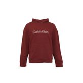 Calvin Klein Alpine Berry Erkek Kapüşonlu Sweatshirt
