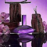 Calvin Klein Euphoria Bold Elixir Parfum Intense 100 ml Kadın Parfüm