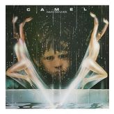 Camel - Rain Dances – Plak