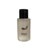 Canch Tek Kullanımlık Otel Tipi 5000x32 ML Şampuan