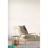 Canlı Sıva Ventrawall Krem Renk C03