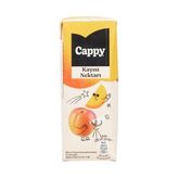 Cappy Kayısı Nektarı Karton Kutu 27x200 ML