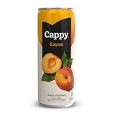 Cappy Kayısı Nektarı Kutu 12x330 ML