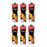 Cappy Şeftali Nektarı 1 Lt X 6 Adet