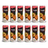 Cappy Şeftali Nektarı 330 Ml X 12 Adet