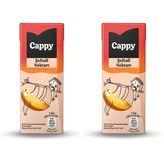 Cappy Şeftali Nektarı Karton Kutu 27x200 ml (2 paketi)