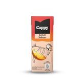 Cappy Şeftali Nektarı Karton Kutu 27x200 ML