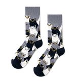 Carnaval Socks Sokak Kedileri Temalı Soket Çorap