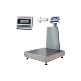 Cas Dbıı 30-150 kg 50*60 Ful Paslanmaz Baskül - Platform Scale