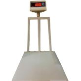 CAS DH 150 kg 35x40 10 gr Ölçü Baskül