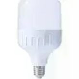 Cata CT-4263 TORCH LED AMPUL 30W BEYAZ