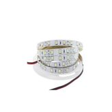 Cata Şerit Led 5 Mt Günışığı İç Mekan (Ct-4481L)