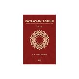 Çatlayan Tohum Cilt 3