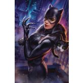 Catwoman #20 Ian Macdonald Var Ed