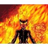 Catwoman #33