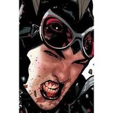 Catwoman #52