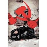 Catwoman #68