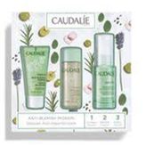 Caudalie 3 lü Vinopure Serum Set