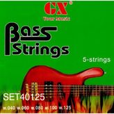 Caye Beş Telli Bas Gitar Teli Gab305