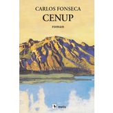 Cenup - Carlos Fonseca