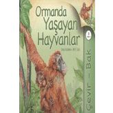 Çevir Bak Ormanda Yaşayan Hayvanlar - Jinny Johnson