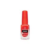 Ceylan Adam Neon Oje N16 - Renkli
