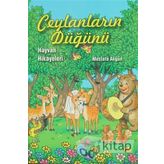 Ceylanların Düğünü: Hayvan Hikayeleri