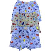 Ceylanoğlu Erkek Çocuk Desenli Boxer 3Lü Paket