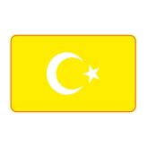 Cg Şeffaf Sarı Bayrak Far Filmi