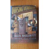 Chasing Vermeer