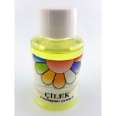 Çilek Esansı 60 gr - 1 Adet