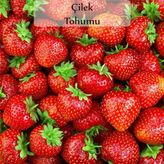 Çilek tohumu 1 Paket (0,5 Gr)