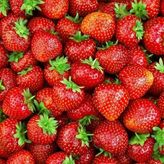 Çilek Tohumu 1 Paket (+100 Adet)