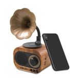 Çılgıntrend Retro Gramofon Müzik Kutusu