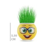 Çim Adam Saksı Emoji Figürlü 1 Adet