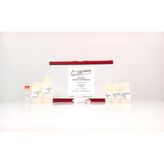 Cis-Dna Food Dna Kit - 10 - test