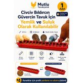 Civciv Yemlik Bıldırcın Yemliği 50 Cm 1 Adet Güvercin Kümesi